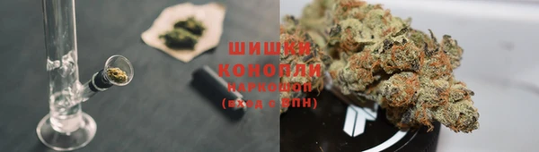 СК Осинники