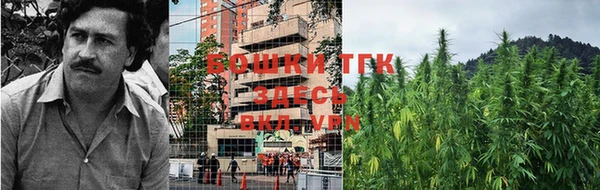 СК Осинники
