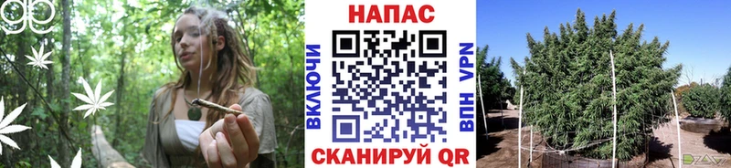 МАРИХУАНА марихуана  Купить где  Кудрово 